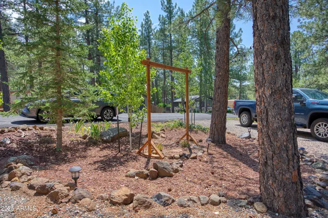 a view of a park that has a tree in it