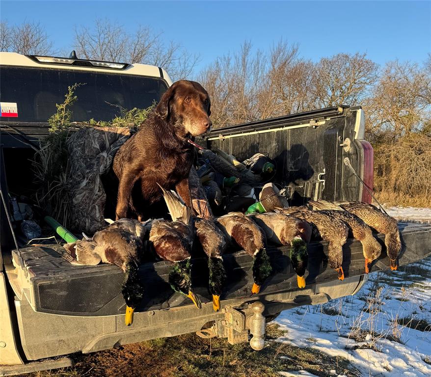 7441 Farm To Market 1956 Road Nocona, TX 76255 - Photo 18 of 40 a view of street with sitting area