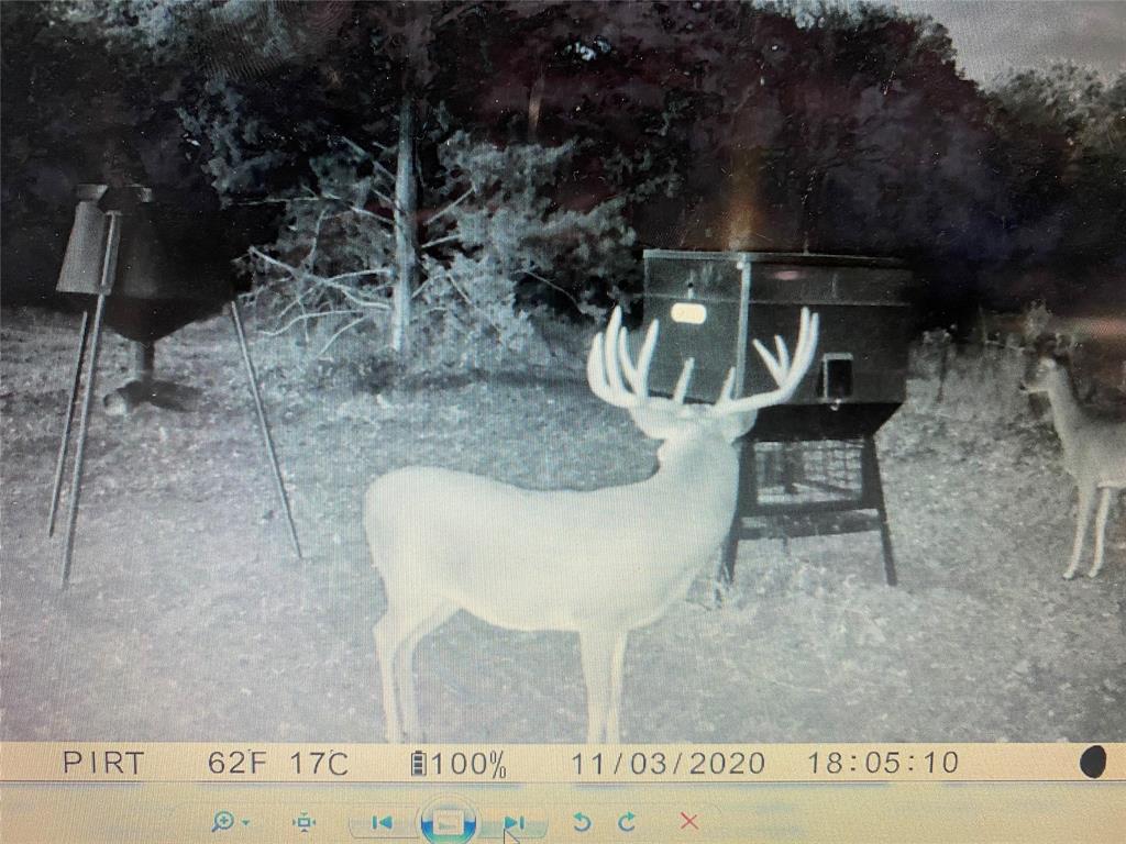 7441 Farm To Market 1956 Road Nocona, TX 76255 - Photo 4 of 40 a view of a living room