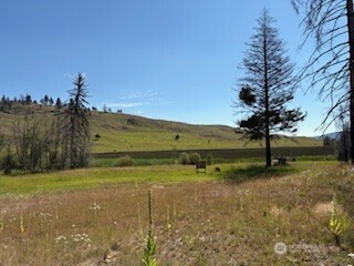 190 Bunch Road Wauconda, WA 98859 - Photo 2 of 18 a view of a field with an trees