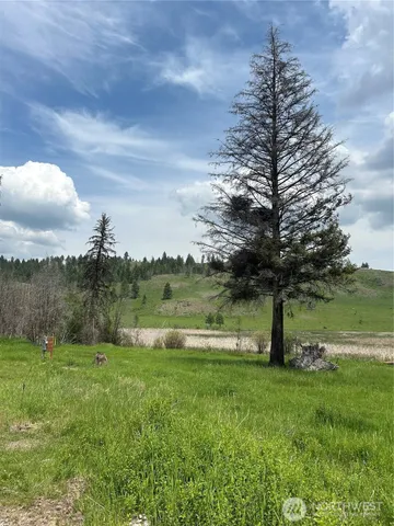 a view of a lake from a yard