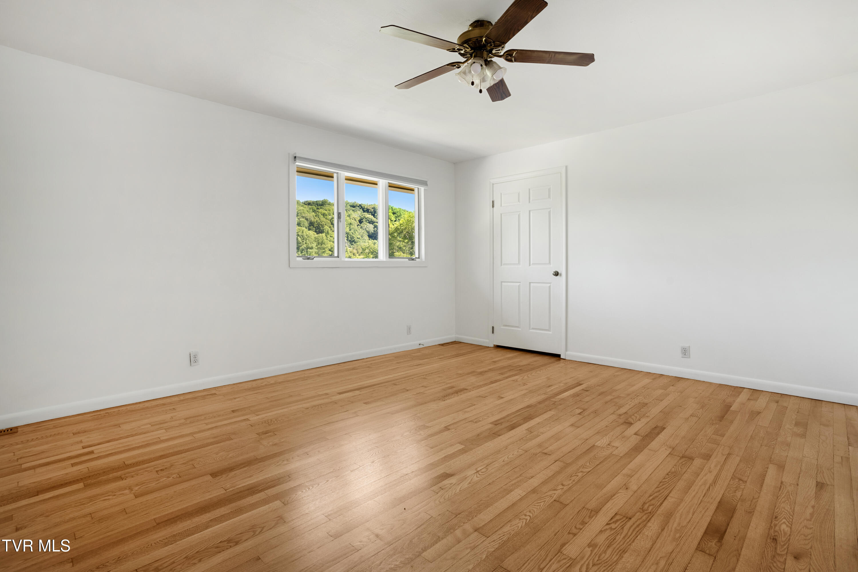 27363 Fudge Road Meadowview, VA 24361 - Photo 33 of 83 177A4360-HDR