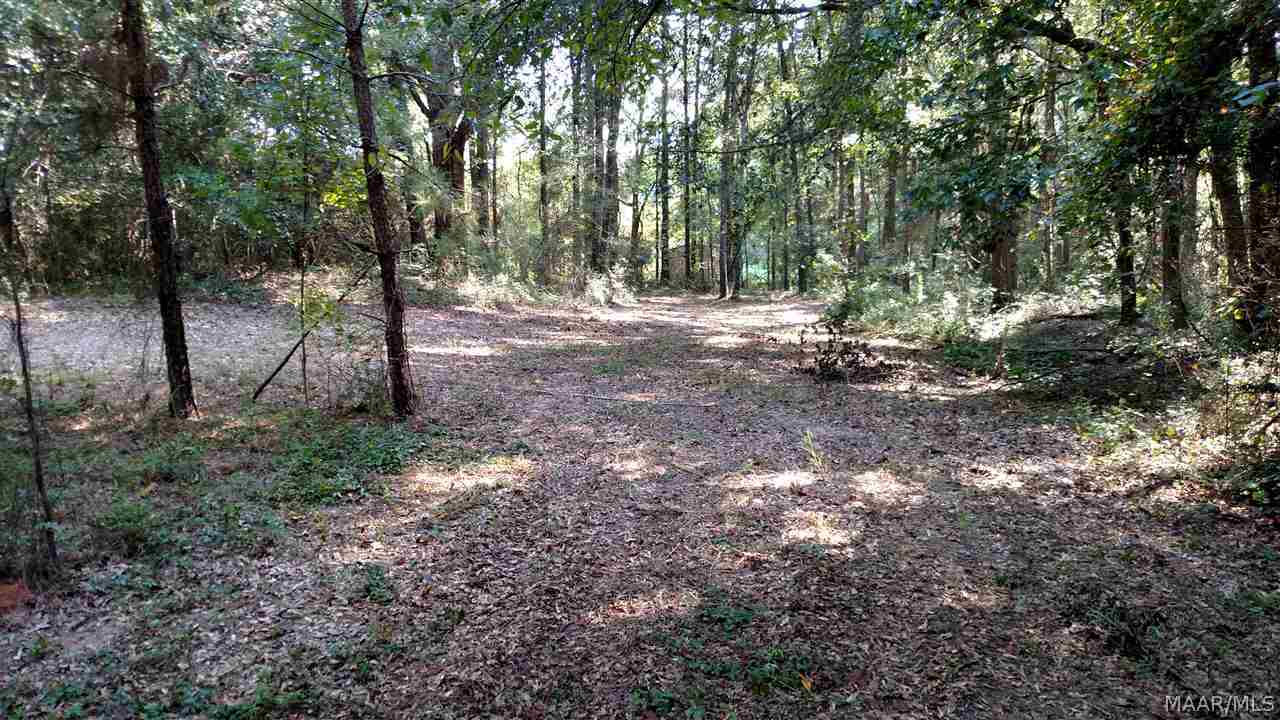 4701 Shellfield Road Enterprise, AL 36330 - Photo 22 of 33 Gallery Image 22