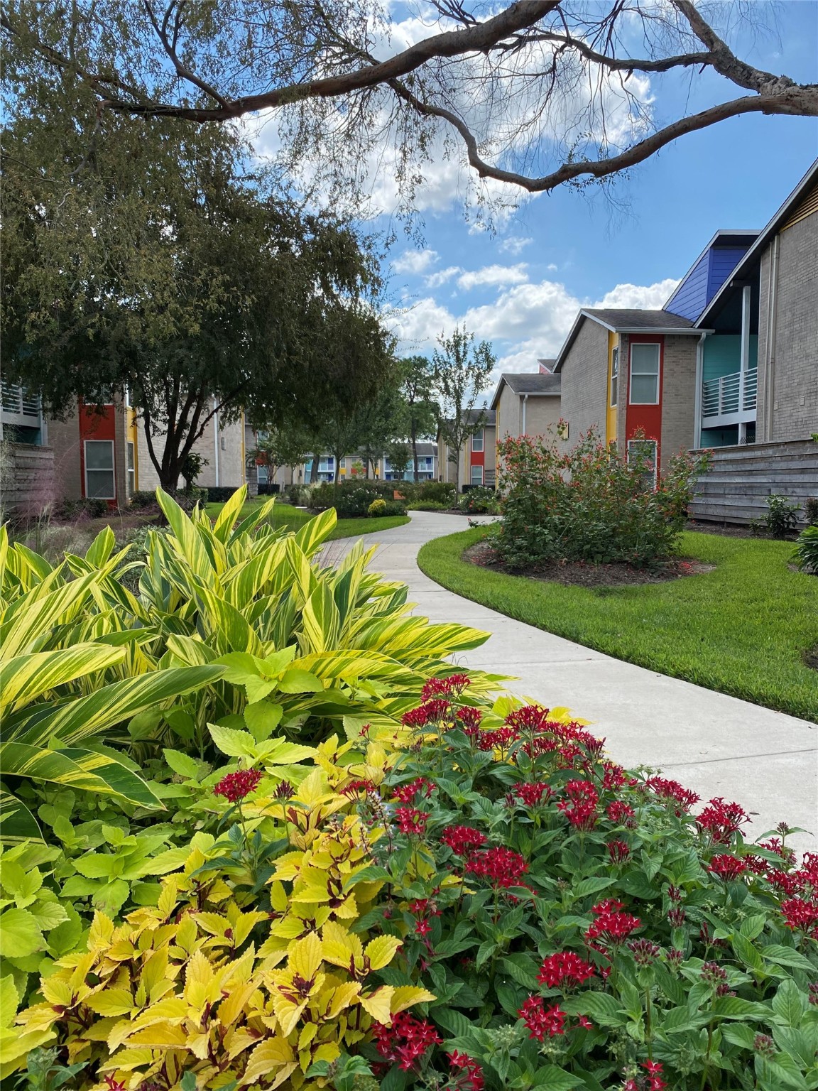 8787 Hammerly Boulevard, Unit 222 Houston, TX 77080 - Photo 20 of 39 a view of a garden with plants and large trees