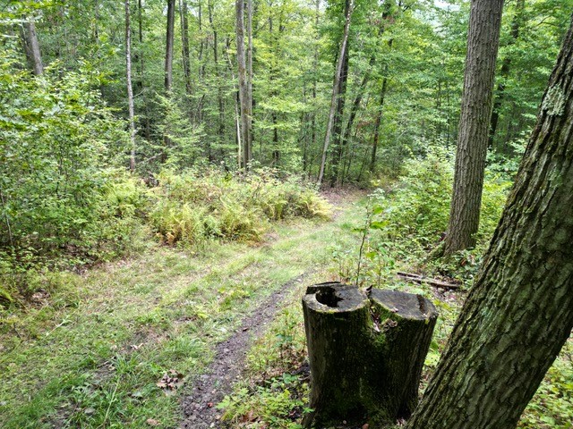 Dyke Road Corning, NY 14830 - Photo 47 of 49 Gallery Image 47
