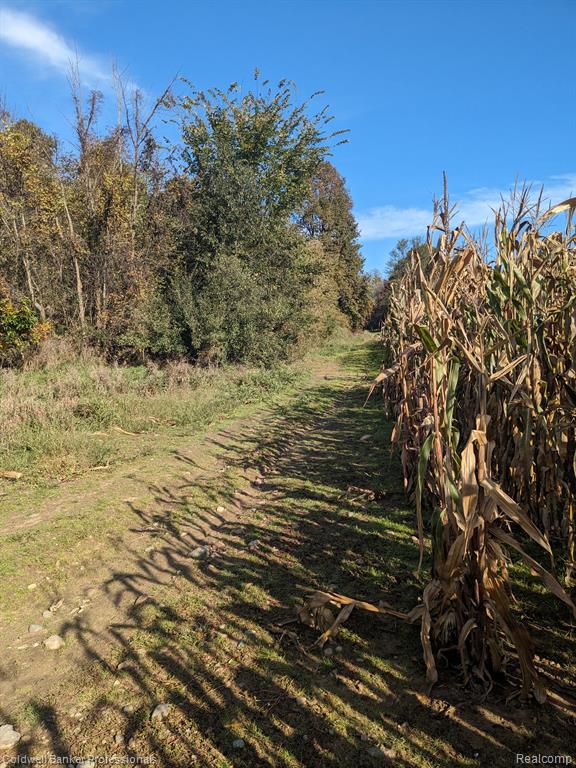 7168 Willis Road Brown City, MI 48416 - Photo 20 of 24