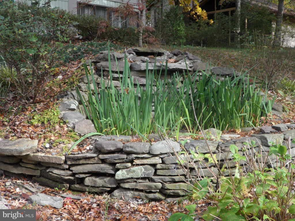 9485 Good Lion Road Columbia, MD 21045 - Photo 5 of 20 a view of a park with some trees