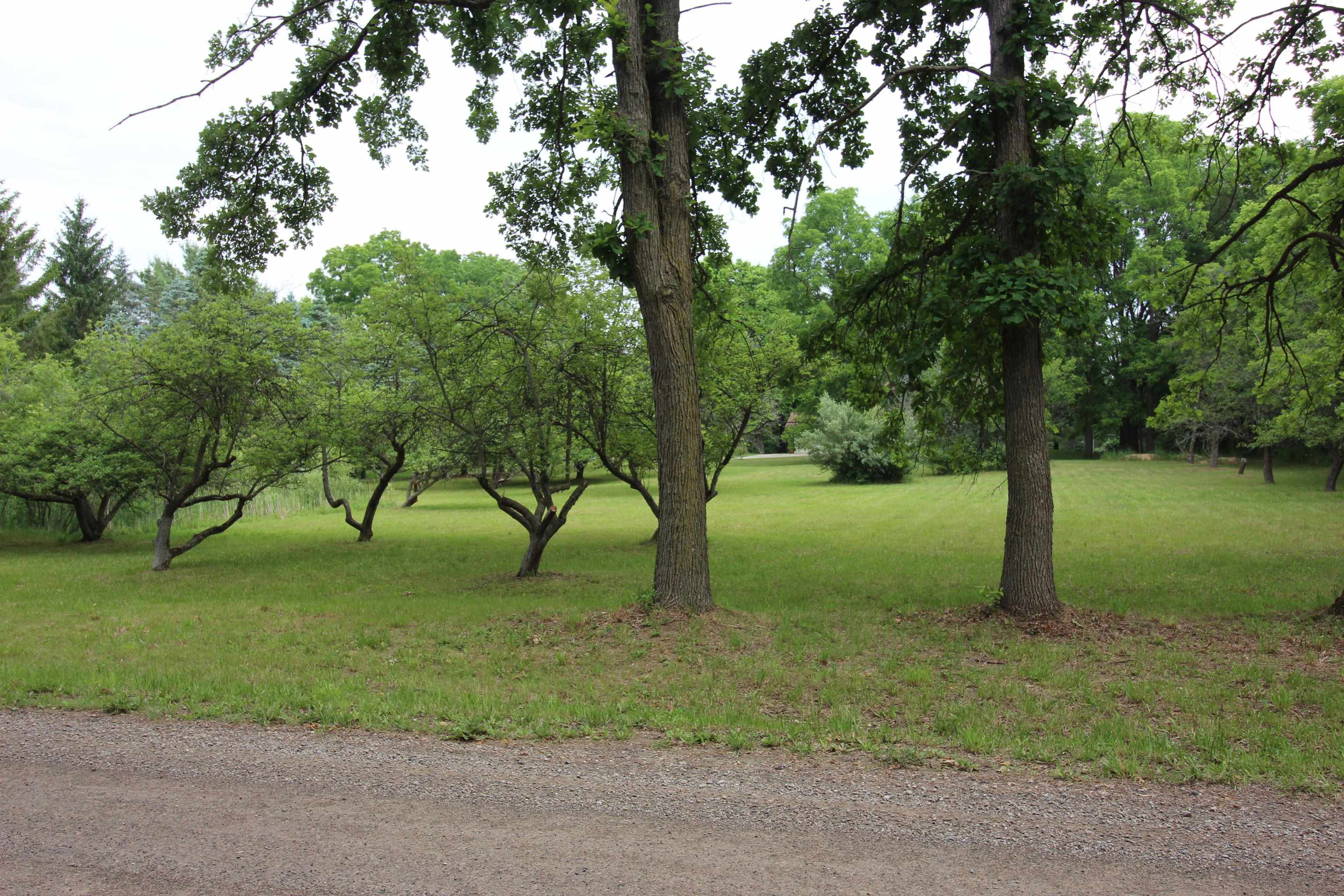10190 Jeddo Road Avoca, MI 48006 - Photo 9 of 68 front yard