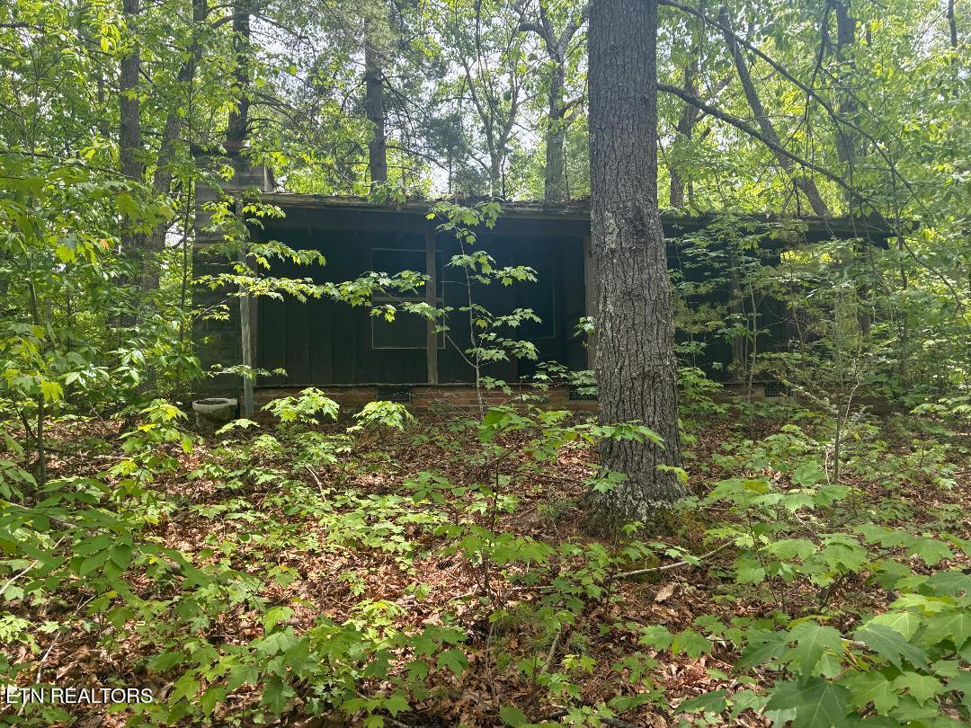 Mt Pleasant Road Vonore, TN 37885 - Photo 2 of 7 thumbnail (16)