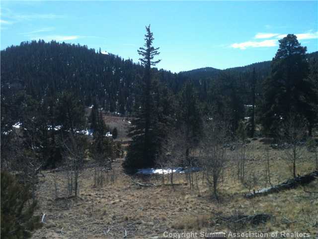 1343 Swiggler Road Como, CO 80456 - Photo 3 of 6 Other.