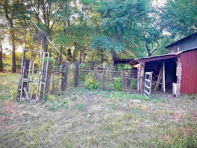 a view of a backyard with large trees and a barn