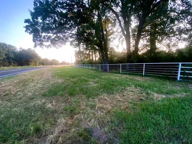 a view of outdoor space and yard