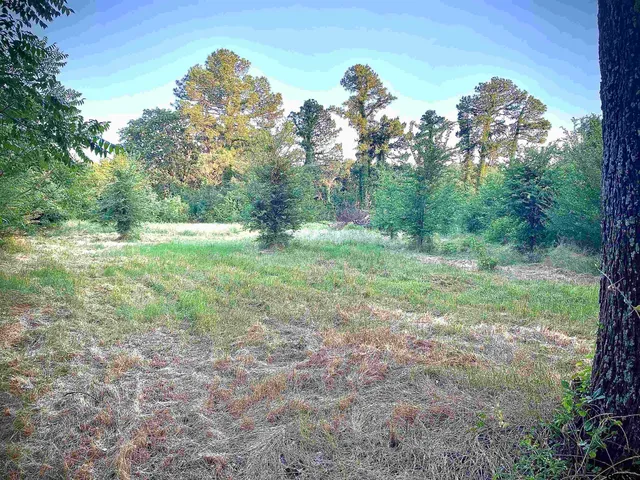 a view of a field with trees in the background