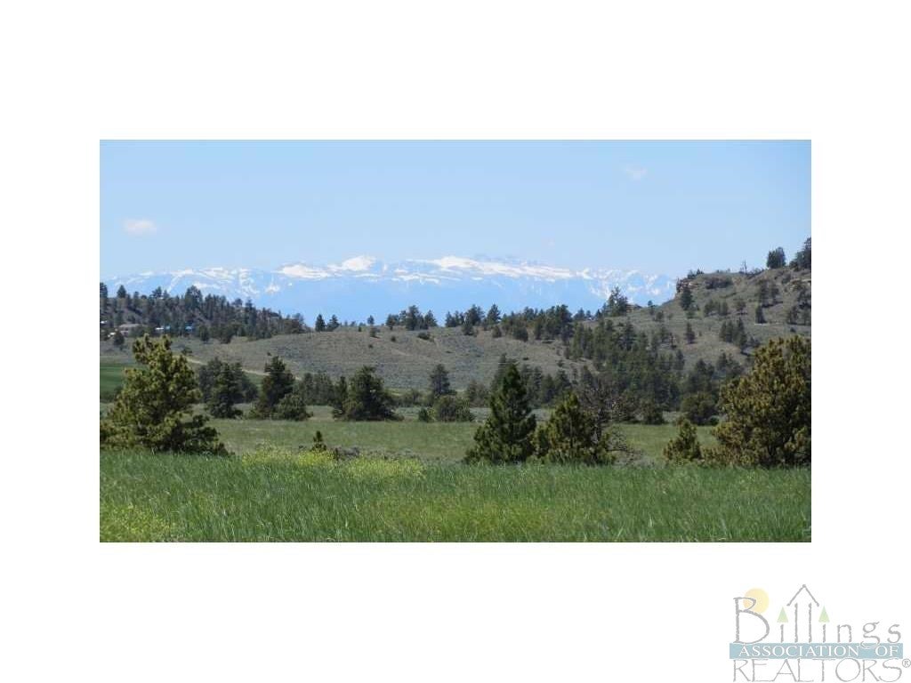 2706 Red And King Gulch Road Laurel, MT 59044 - Photo 1 of 1 Gallery Image 1