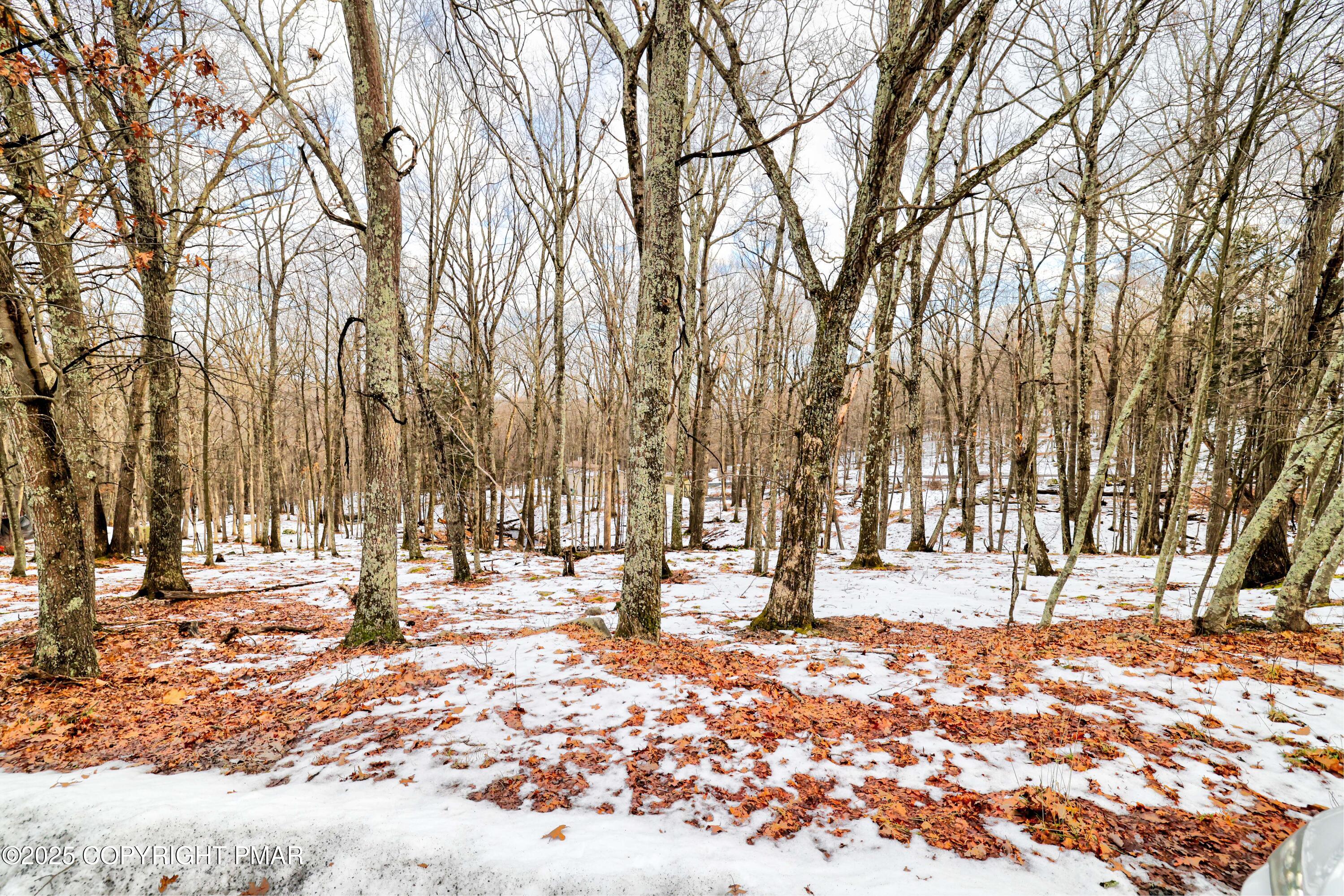 Lot 501 Warbler Court Bushkill, PA 18324 - Photo 10 of 15 RBR51477