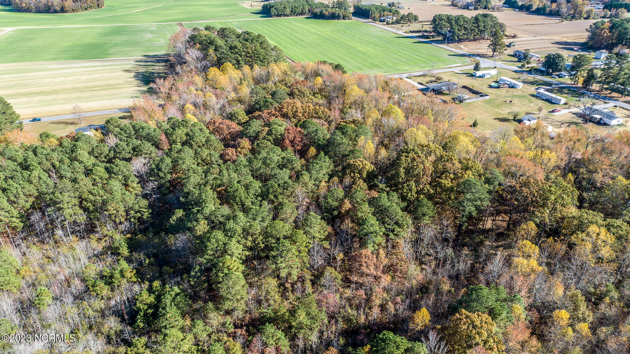 6033 Homestead Road Elm City, NC 27822 - Photo 10 of 20 6033-Back-left