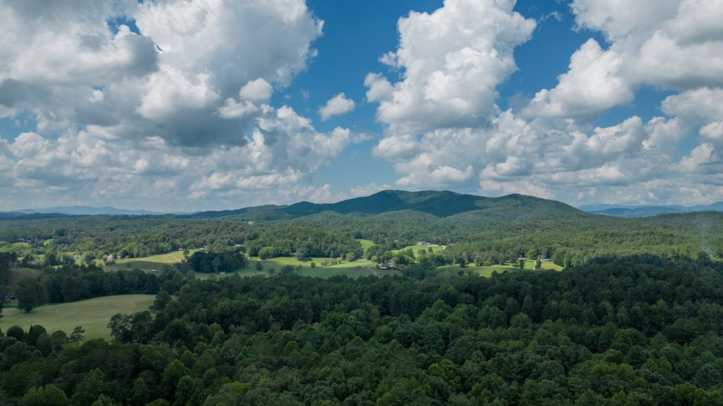Tbd Waldroup Road Hayesville, NC 28904 - Photo 13 of 16 Gallery Image 13