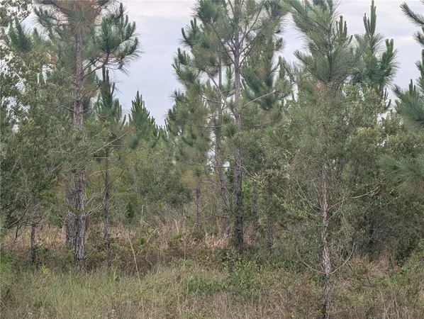$15,000 | 221 Tropicana Drive, Indian Lake Estates, FL 33843