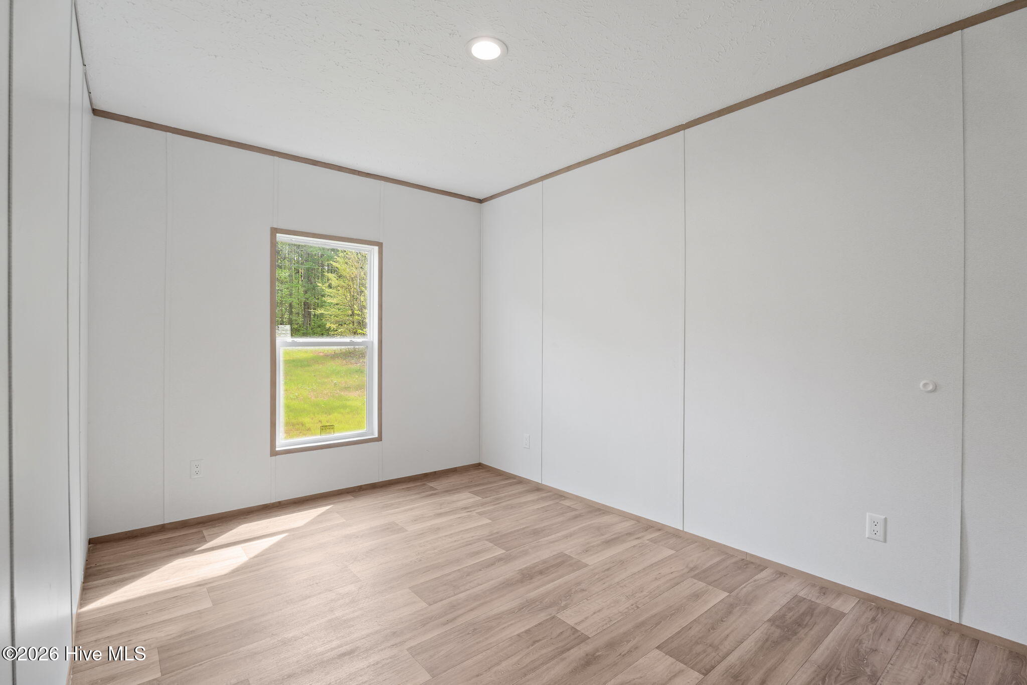 1735 Lynch Road Hollister, NC 27844 - Photo 17 of 39 23-web-or-mls-DSC01500