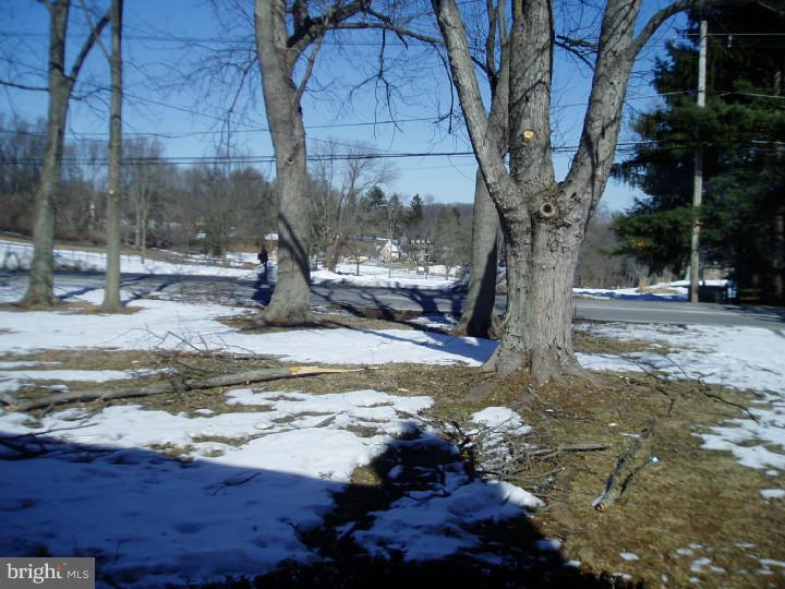 1002 Shiloh Road West Chester, PA 19382 - Photo 22 of 25 Front Yard