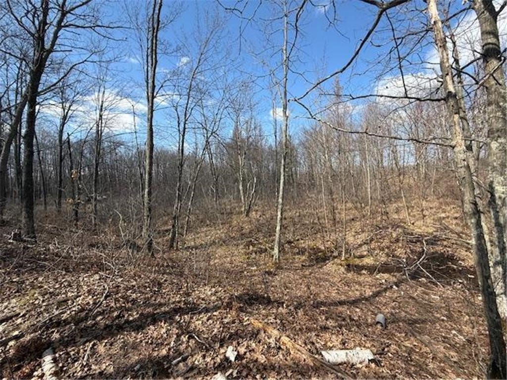 63 Barronett Wi 54871 Shell Lake, WI 54871 - Photo 19 of 24