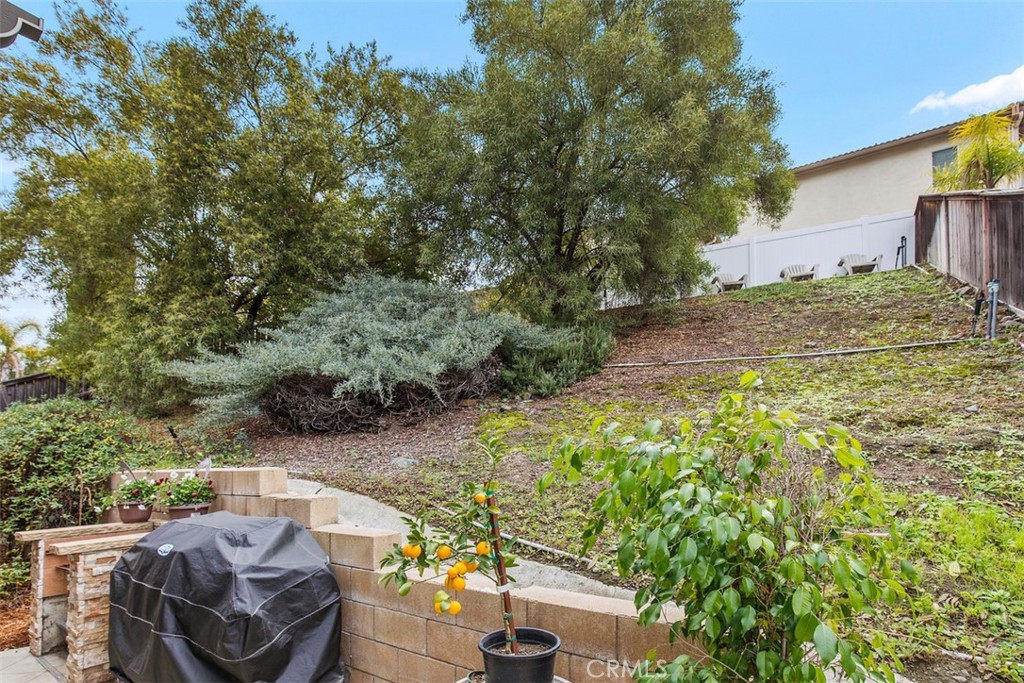 32095 Zion Way Winchester, CA 92596 - Photo 29 of 30 a view of a backyard with plants and a patio
