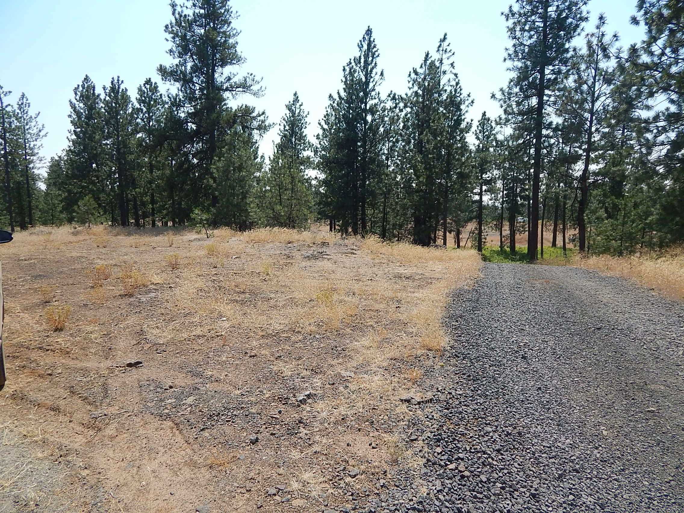 249014 West Kitt Road Reardan, WA 99029 - Photo 21 of 23