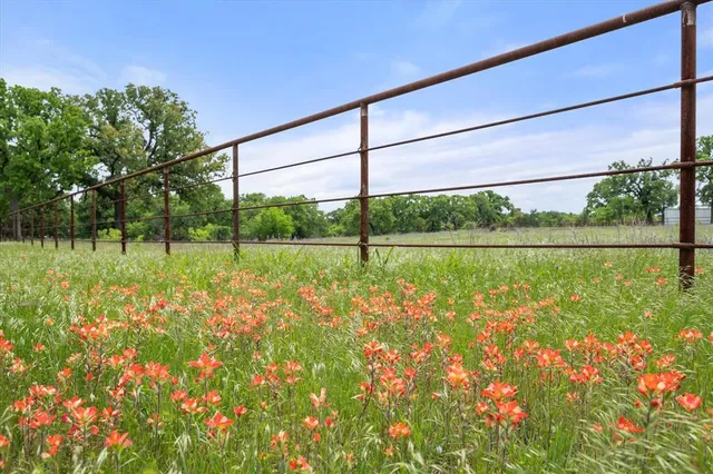 a view of a big yard with potted plants