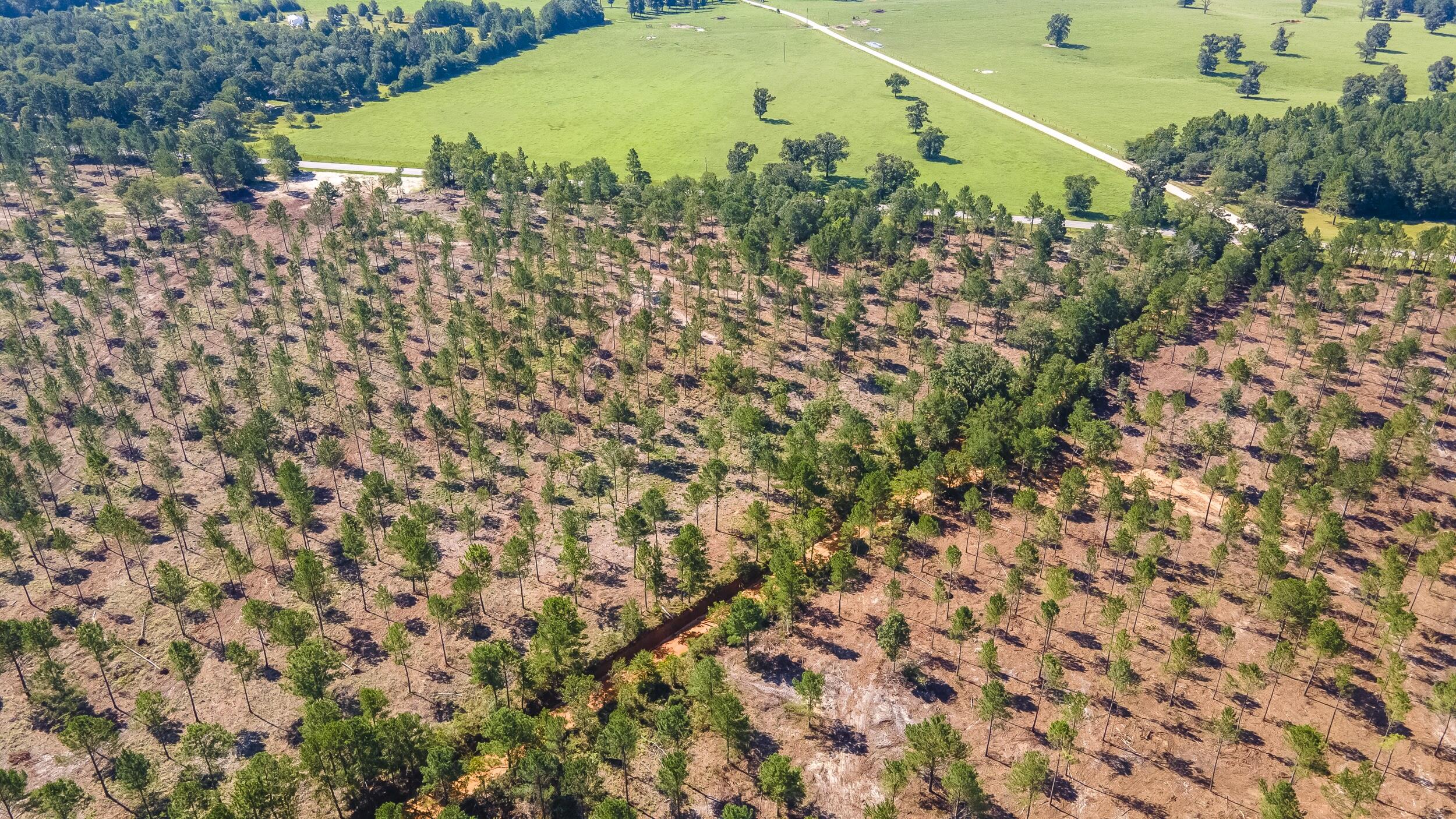 Lot 10 Shadow Lane Wagener, SC 29164 - Photo 2 of 4