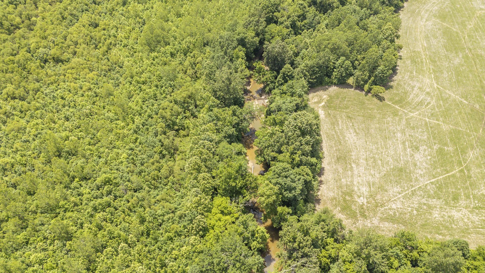 904 Capooth Road Ramer, TN 38367 - Photo 39 of 40