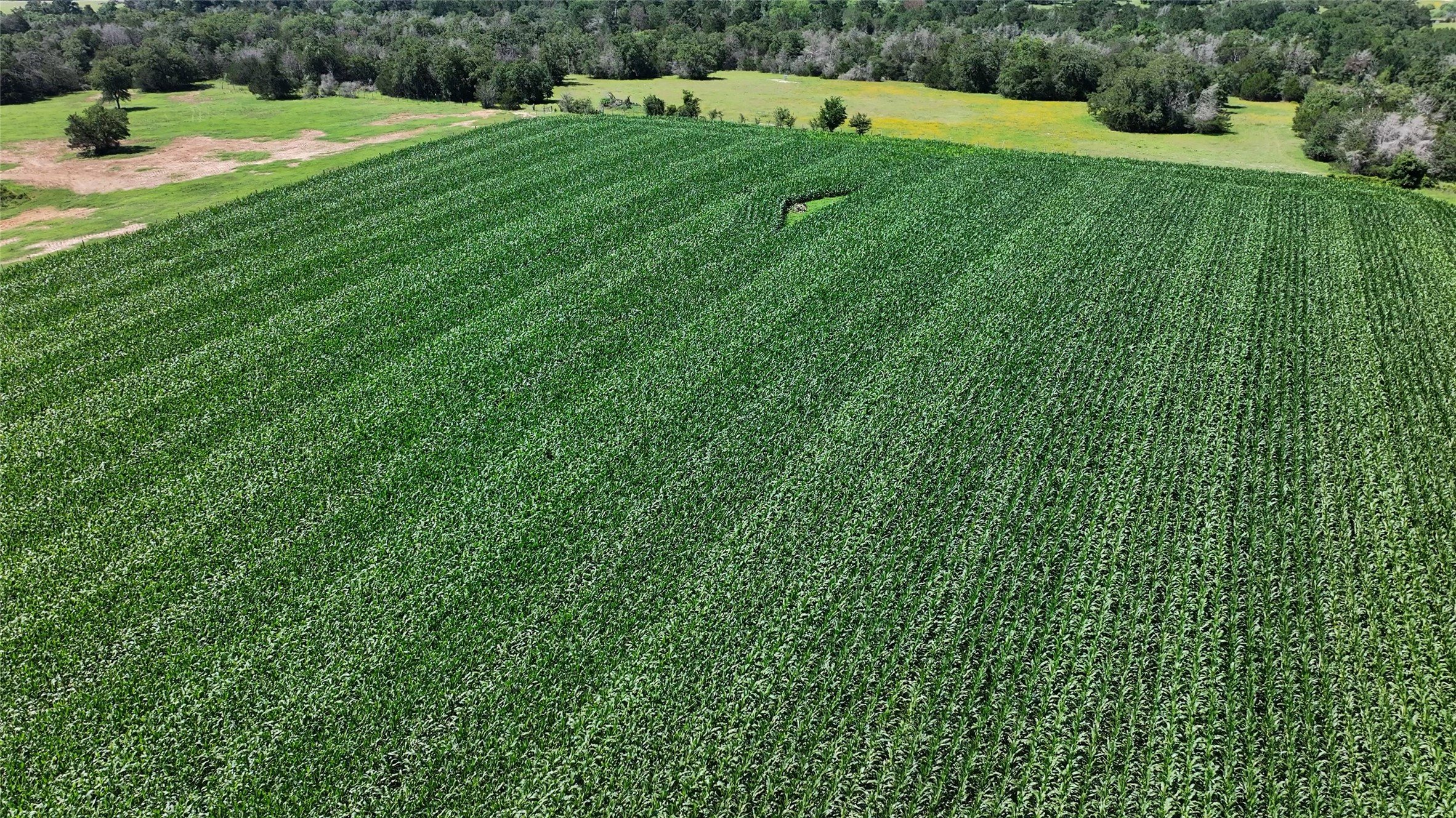 Tbd Warda Church Road Giddings, TX 78942 - Photo 7 of 29
