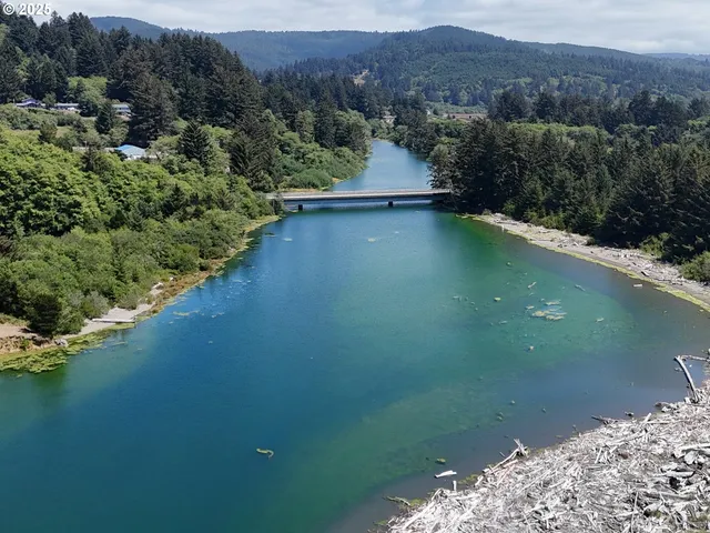a view of a lake in middle of the forest