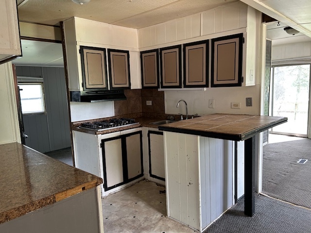 116 North English Street Braidwood, IL 60408 - Photo 3 of 4 a kitchen with stainless steel appliances granite countertop a sink stove and cabinets