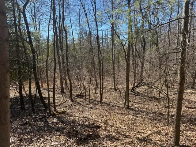 $595,000 | Tbd Lakeville Road, Leonard, MI 48367