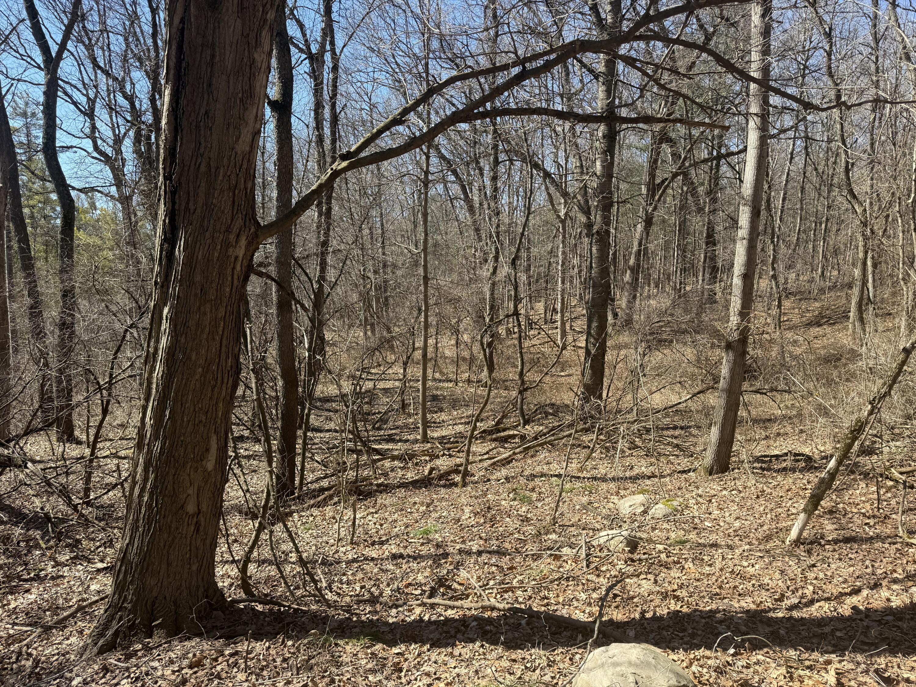 Tbd Lakeville Road Leonard, MI 48367 - Photo 12 of 29 D5