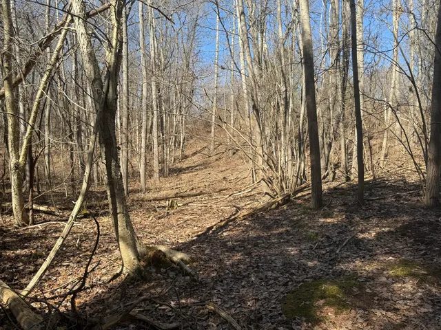 $595,000 | Tbd Lakeville Road, Leonard, MI 48367