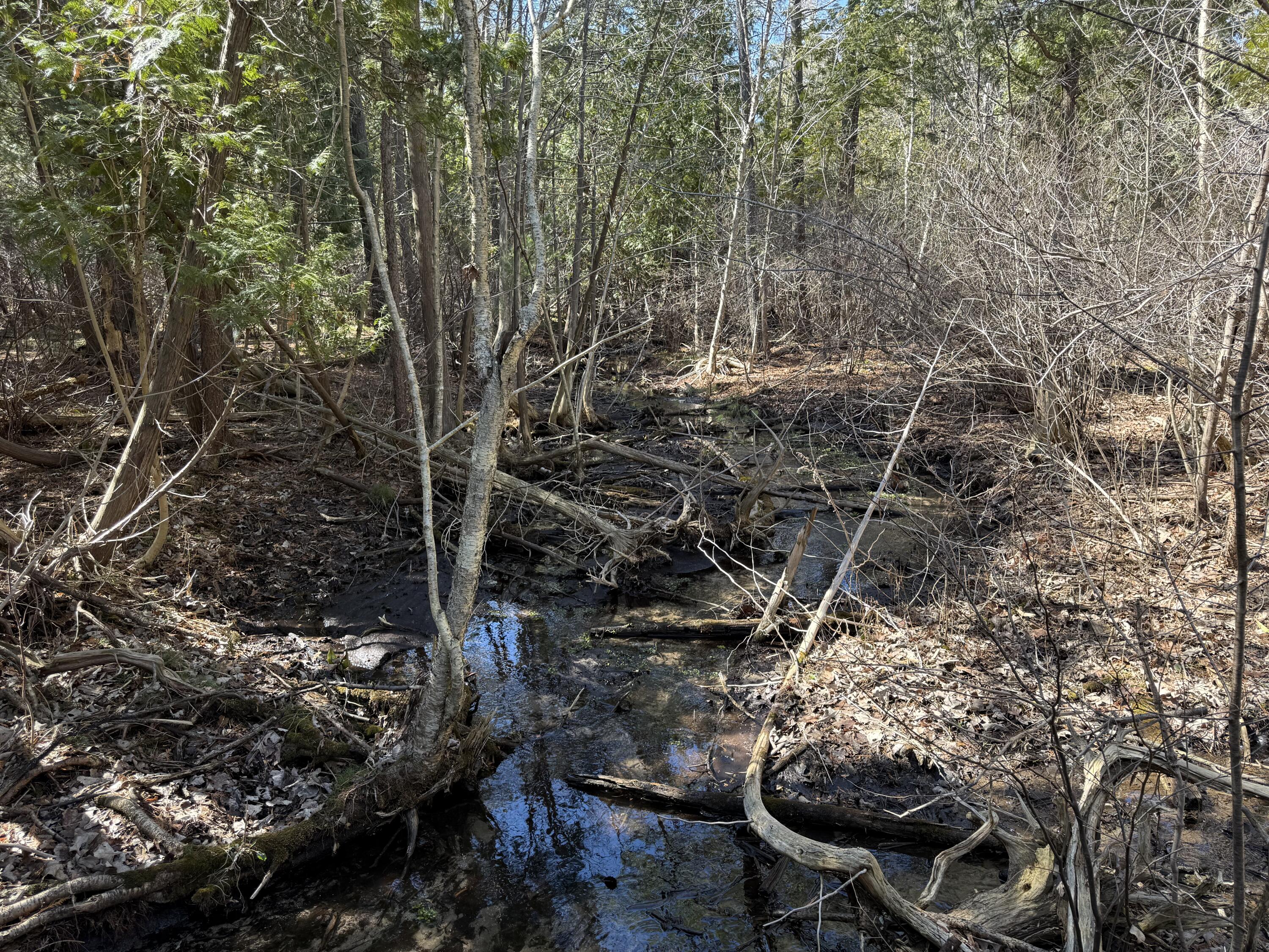 Tbd Lakeville Road Leonard, MI 48367 - Photo 15 of 29 DD2