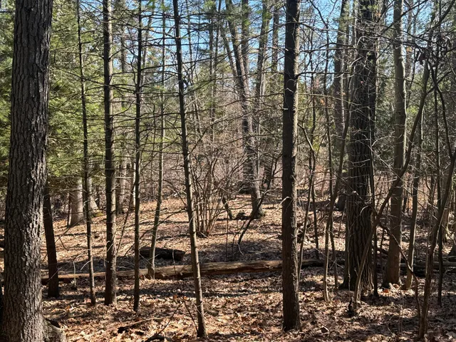 $595,000 | Tbd Lakeville Road, Leonard, MI 48367