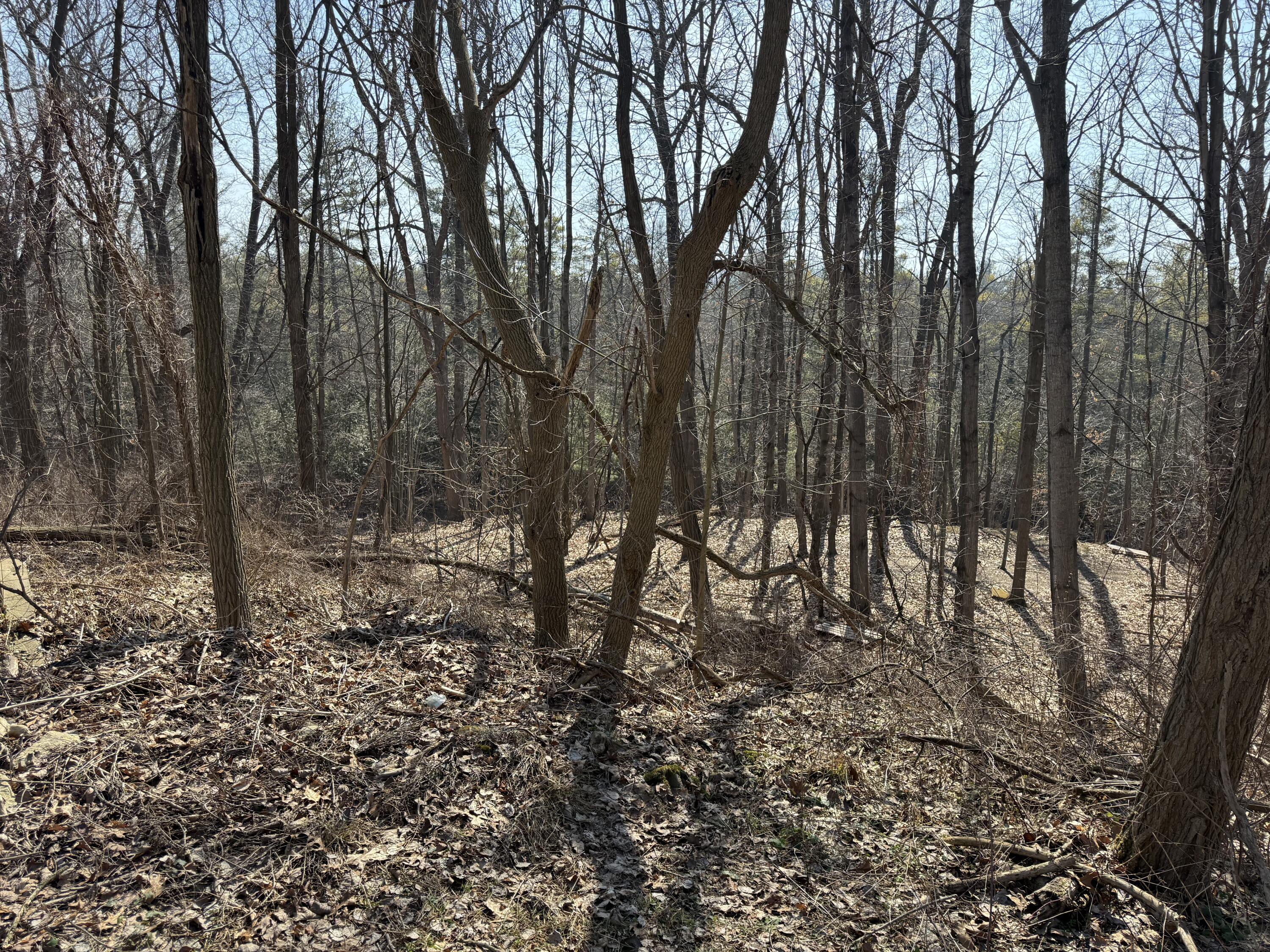 Tbd Lakeville Road Leonard, MI 48367 - Photo 18 of 29 DD13