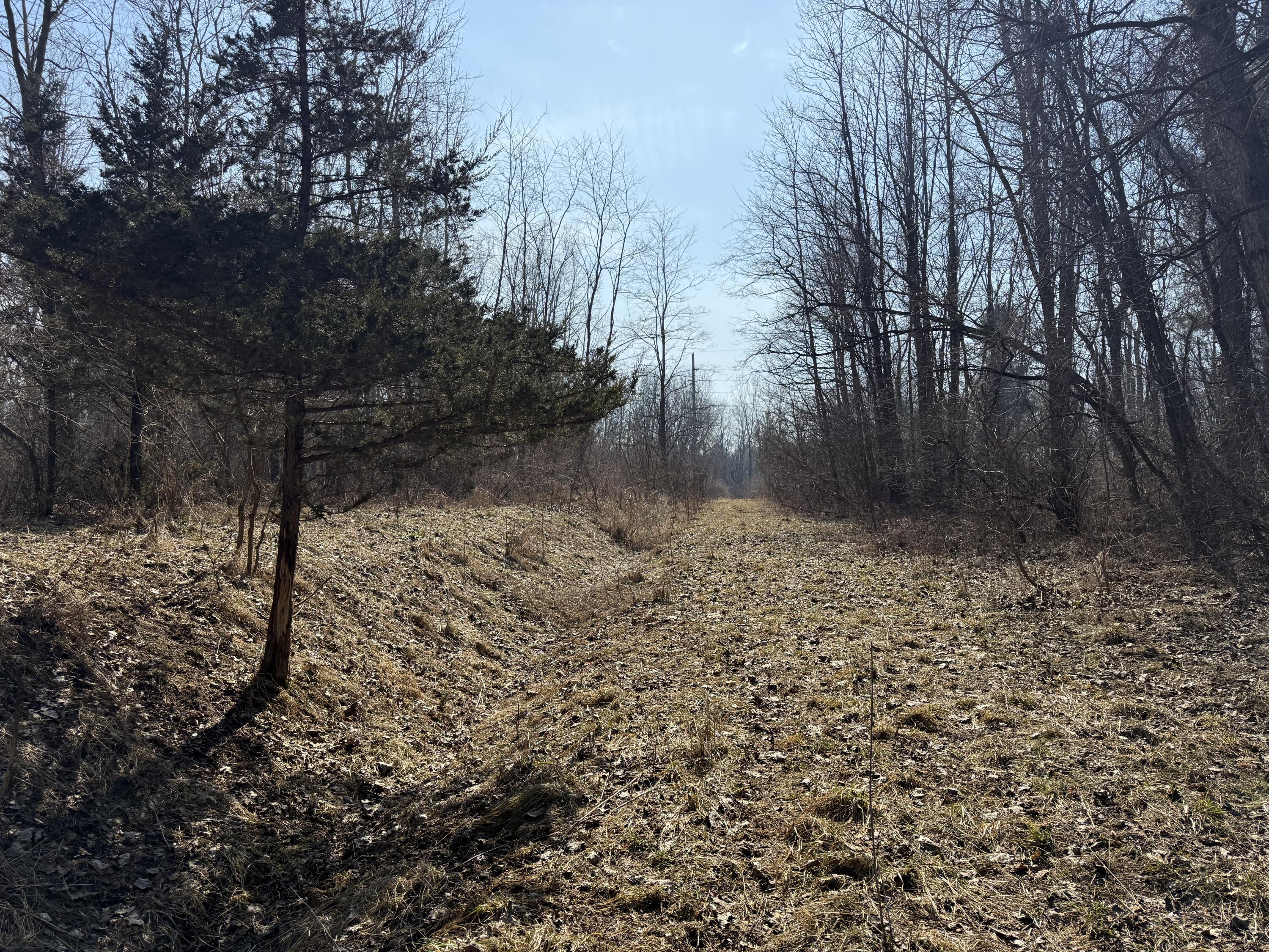 Tbd Lakeville Road Leonard, MI 48367 - Photo 19 of 29 DD14