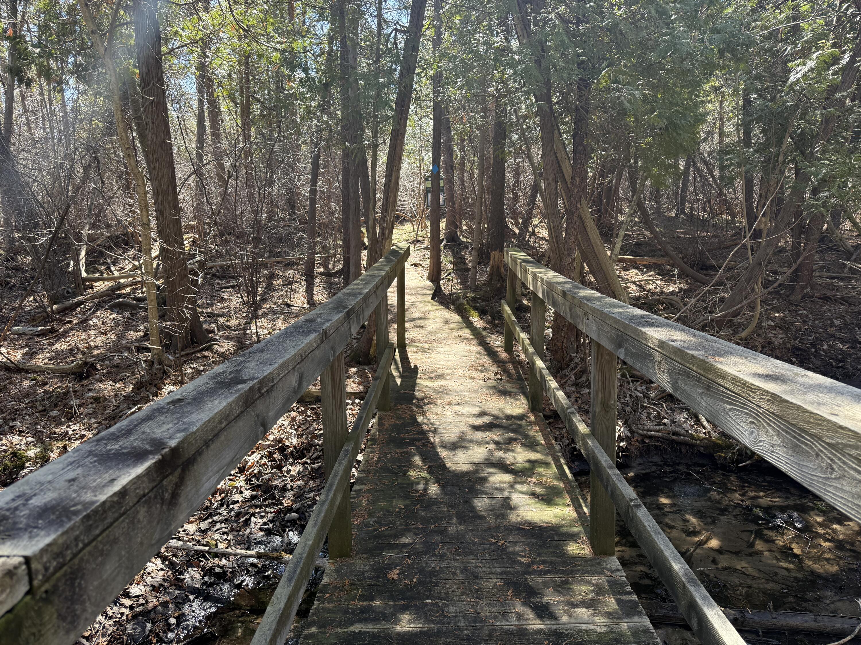 Tbd Lakeville Road Leonard, MI 48367 - Photo 21 of 29 DD12