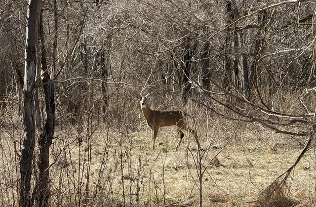 $595,000 | Tbd Lakeville Road, Leonard, MI 48367