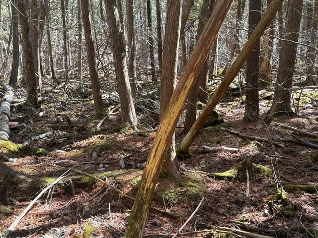 $595,000 | Tbd Lakeville Road, Leonard, MI 48367