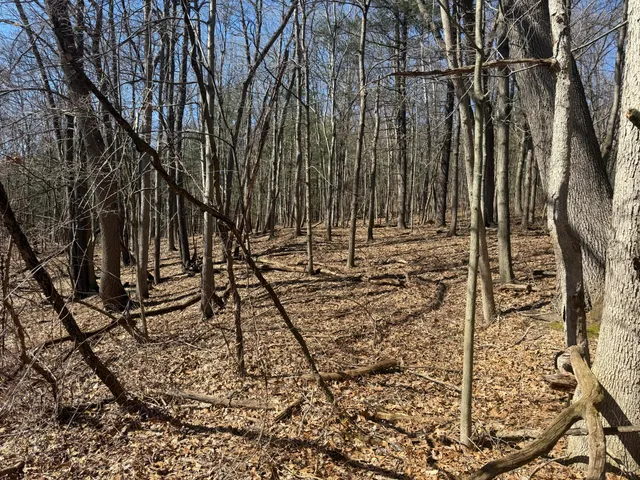 $595,000 | Tbd Lakeville Road, Leonard, MI 48367