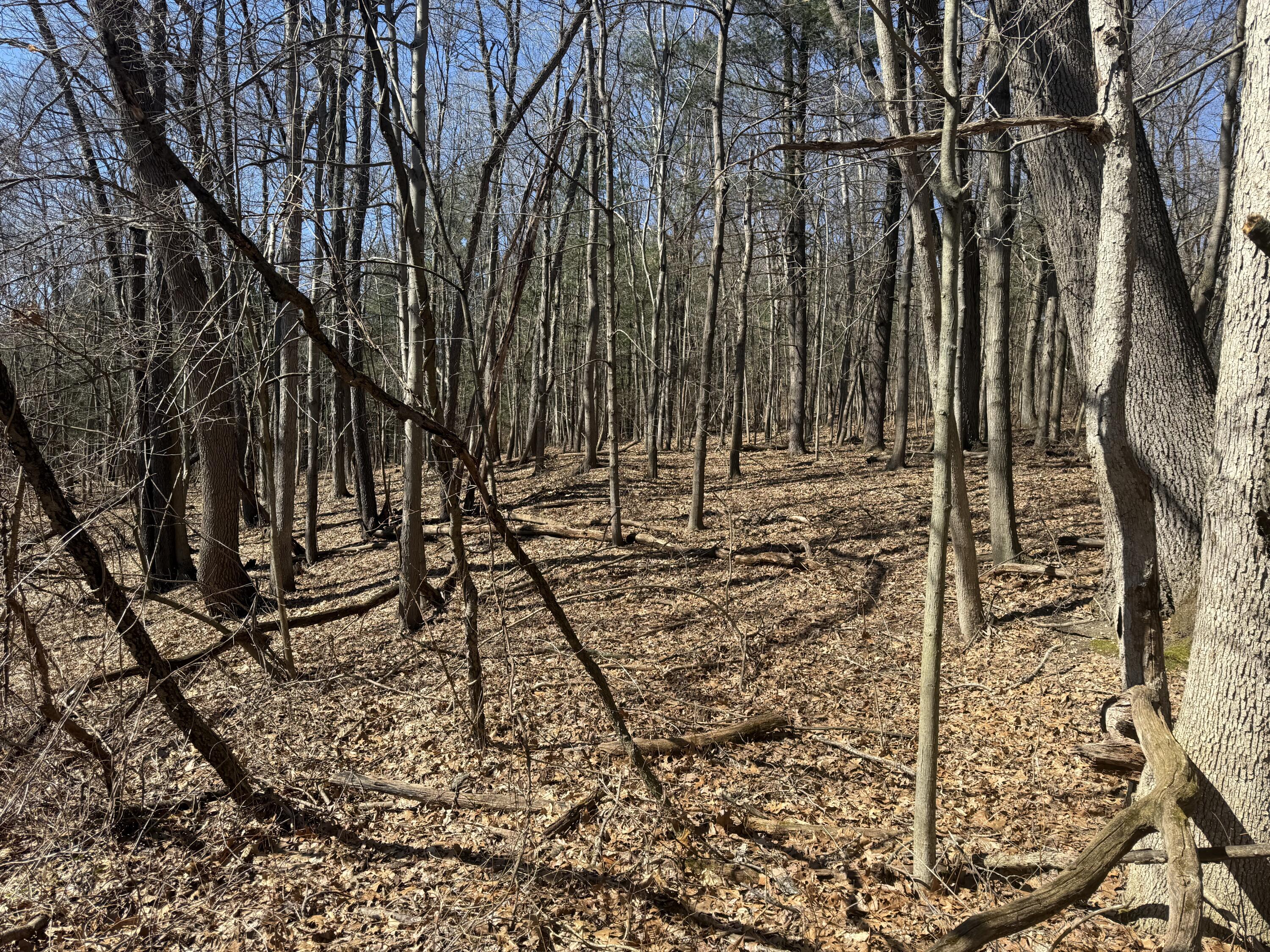 Tbd Lakeville Road Leonard, MI 48367 - Photo 8 of 29 D6