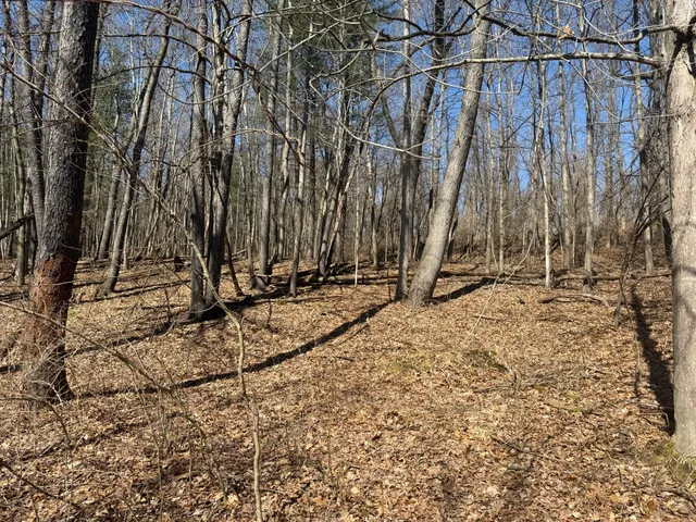 $595,000 | Tbd Lakeville Road, Leonard, MI 48367