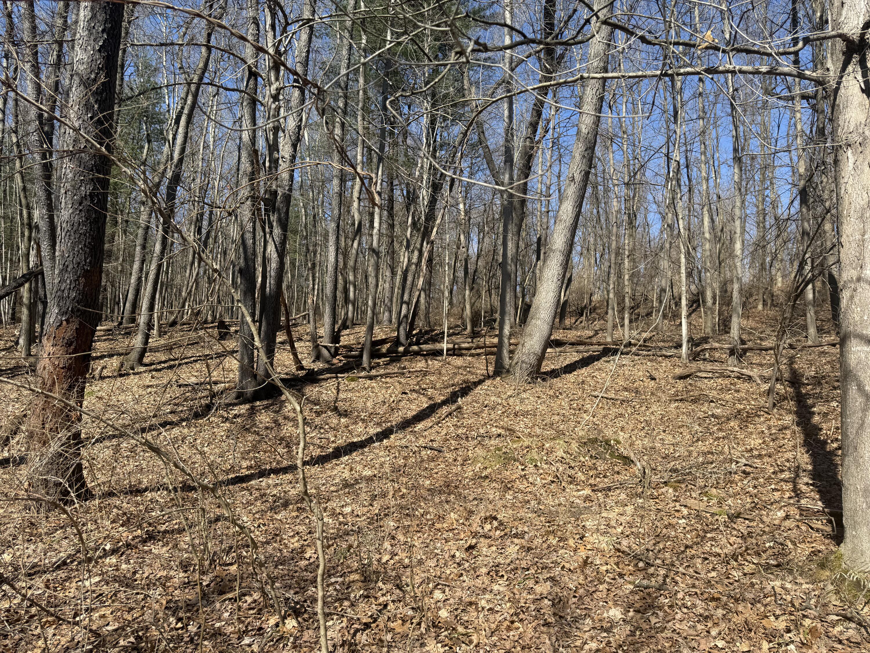 Tbd Lakeville Road Leonard, MI 48367 - Photo 9 of 29 D7