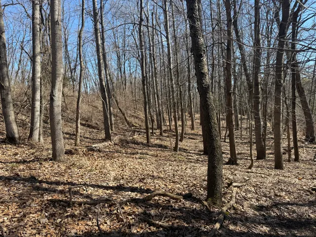 $595,000 | Tbd Lakeville Road, Leonard, MI 48367