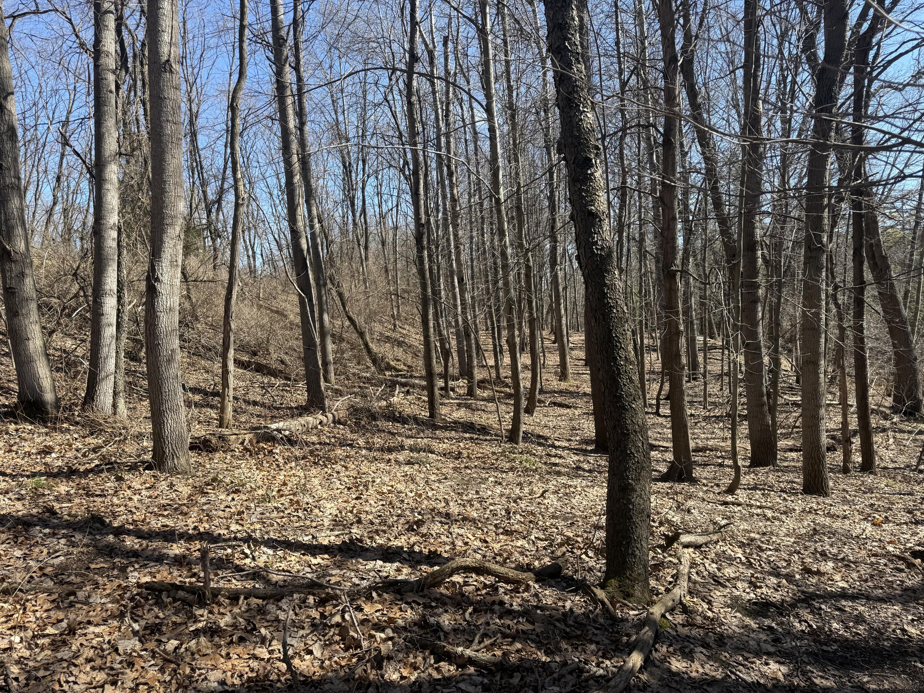 Tbd Lakeville Road Leonard, MI 48367 - Photo 10 of 29 D3