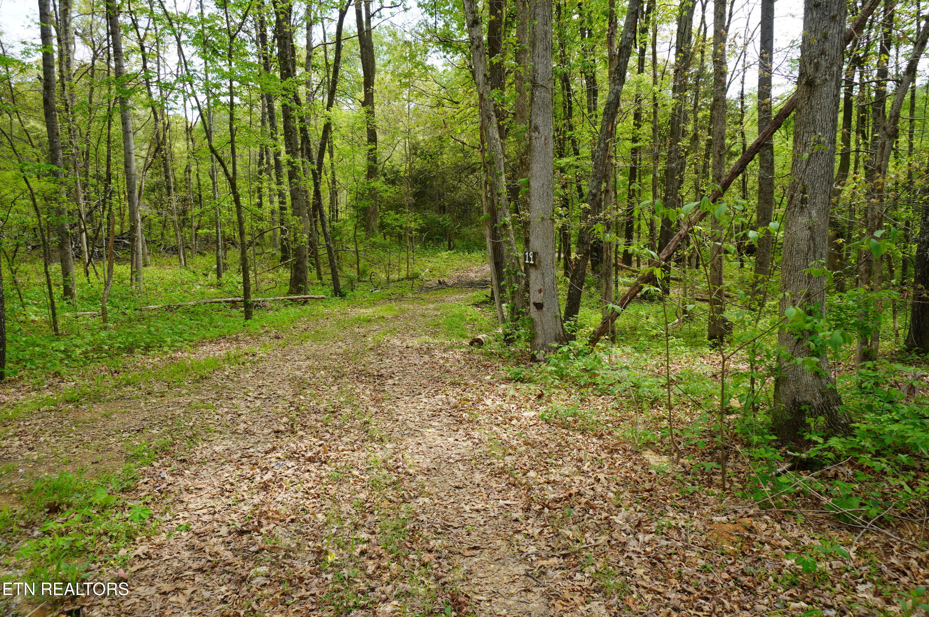 19 Pleasant View Cemetery Road New Market, TN 37820 - Photo 20 of 26 add on photos (22)